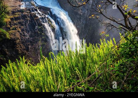 Le felci verdi brillanti oscillano vicino a una potente cascata, incarnando il contrasto tra la vegetazione lussureggiante e le acque scoscese e il paesaggio roccioso dello Zimbabwe. Foto Stock