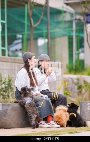 Un uomo coreano e una donna giapponese, entrambi di 30 anni, stanno camminando tre cani lungo il fiume a Pyeongnae-dong, Namyangju-si, Gyeonggi-do, Corea. Foto Stock