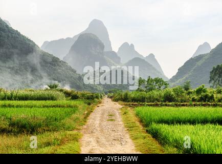 Strada sterrata panoramica che attraversa verdi risaie e montagne carsiche Foto Stock