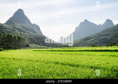 Splendido paesaggio nella contea di Yangshuo di Guilin, Cina Foto Stock