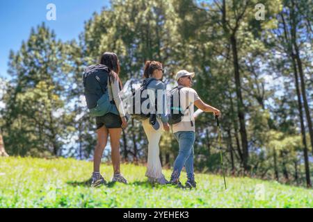 Three Young Friends Trekking in Nature Forest felice alla ricerca di indicazioni Trekking nel Parco Nazionale Foto Stock