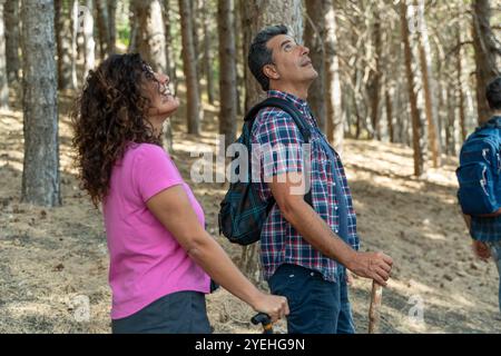 Coppie diverse di mezza età che guardano alti pini durante l'escursione nella foresta. Uomo e donna con capelli ricci che amano l'avventura all'aria aperta e si connettono Foto Stock
