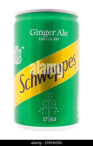 Lattina di Schweppes Canada Dry giner ale su sfondo bianco Foto Stock