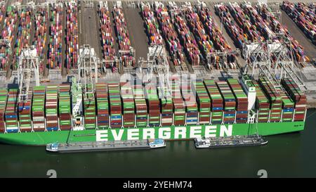 Due grandi navi container da Evergreen e Hapg Lloyd stanno caricando al porto. Il (secondo) Maasvlakte è una grande area industriale costruita nell'estuario del Maas. La pianura si trova direttamente sul Mare del Nord e fa parte del porto di Rotterdam. paesi bassi out - belgio out Foto Stock