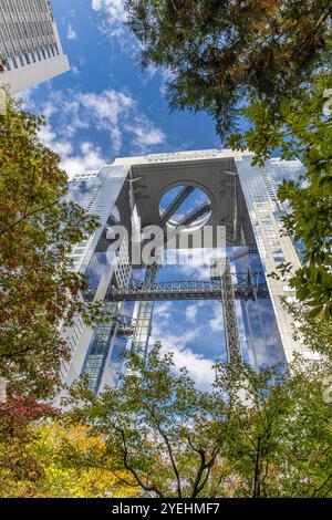 Vista ad angolo basso dell'edificio umeda Sky con fogliame autunnale ad osaka, giappone Foto Stock