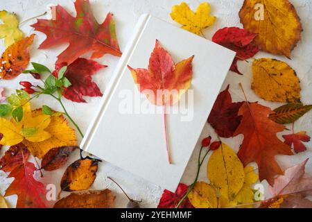 Libro bianco con una foglia rossa tra le colorate foglie autunnali, concetto per l'autunno è tempo di lettura, vista dall'alto, spazio di copia, messa a fuoco selezionata Foto Stock