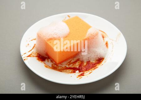 Piatto bianco rotondo sporco con salsa rossa, spugna di spugna arancione. Vista dall'alto Foto Stock