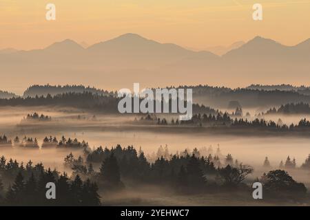 Atmosfera Foggy, luce del mattino, paesaggio montano, autunno, colline alpine, vista delle Alpi Bavaresi, Baviera, Germania, Europa Foto Stock