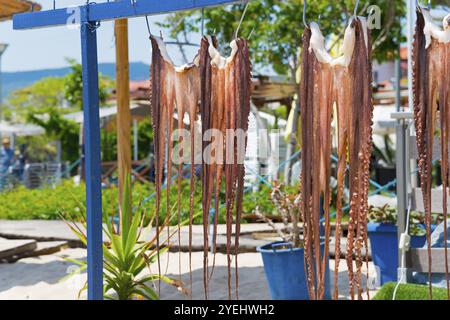 Polpo appeso ad asciugare di fronte a una spiaggia sullo sfondo, un elemento tradizionale della cucina greca, Sarti, Sithonia, Calcidica, Macedonia centrale, Grecia, E. Foto Stock