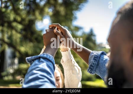 Coppia multietnica che si tiene per mano e li solleva in un parco Foto Stock