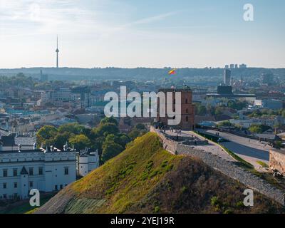 Veduta aerea di Vilnius con la Torre di Gediminas e la Torre della televisione Foto Stock