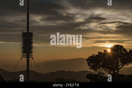 Un'alta torre di comunicazione si staglia su un tramonto spettacolare con montagne e un albero in primo piano, la torre Collserola, Barcellona, Cata Foto Stock