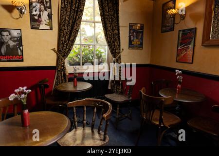 The Queen's Larder, pub nascosto in una strada laterale fuori dalla trafficata Southampton Row, affacciato sulla verdeggiante Queen Square, Londra, Inghilterra, Regno Unito Foto Stock