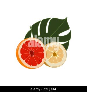 Agrumi e foglie tropicali. Tagliare a metà limone e pompelmo. Illustrazione vettoriale. Illustrazione Vettoriale