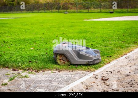 Il rasaerba robotizzato taglia l'erba in un giardino o in un parco Foto Stock