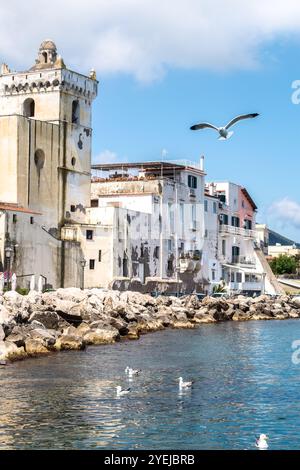 Gabbiani che volano sopra l'isola di Ischia nel Golfo di Napoli nel Mar Mediterraneo Foto Stock