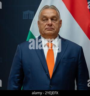 20241031 Der oesterr. Nationalratspraesident empfaengt Ungarns Ministerpraesidenten WIEN, OESTERREICH - 31. OKTOBER: Fidesz ungarischer Ministerpraesident Viktor Orban anlaesslich Seines Besuchs beim FPOe Praesident des Nationalrates und Abgeordneter zum Nationalrat Walter Rosenkranz im Empfangssalon des oesterreichischen Parlaments am 31. Oktober 2024 a Vienna, Oesterreich. 241031 SEPA 17 029 Copyright: XIsabellexOuvrardx SEPAxMedia Foto Stock