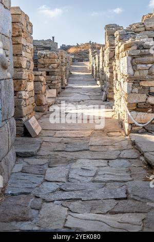 Il sito archeologico. Di Delo, Grecia, patrimonio dell'umanità Foto Stock