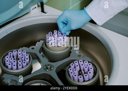 Guanti per posizionare le provette campione in una macchina per centrifuga in ambiente di laboratorio medico, creando uno spazio di lavoro organizzato per la ricerca scientifica e i test medici Foto Stock