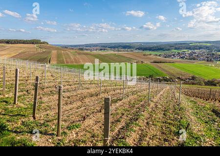 Paesaggio collinare e vigneto con vista sul villaggio di Neuville-sur-Seine (Francia nord-orientale) Foto Stock