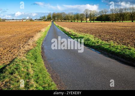 Strada di campagna e campo con vegetazione arancione dopo l'applicazione di infestanti glifosato Foto Stock