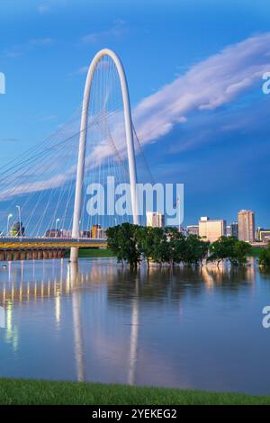 Splendida vista del Margaret Hunt Hill Bridge e dello skyline del centro di Dallas durante Una rara inondazione sul Trinity River Levee a Dallas, Texas Foto Stock