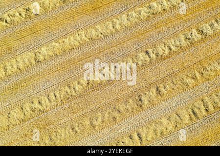 vista aerea zenithal del campo di grano dorato tagliato raccolto il giorno d'autunno Foto Stock