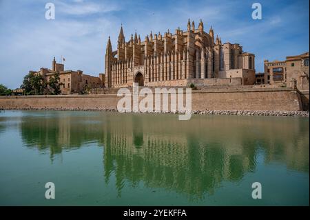 Cattedrale di Santa Maria di Palma, la Seu, con riflessi sul lago di fronte. Palma di Maiorca, Spagna Foto Stock