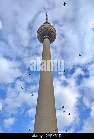 Torre della televisione ad Alexanderplatz Berlino Germania con uccelli Foto Stock