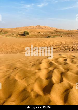 Le dune di sabbia del deserto Foto Stock