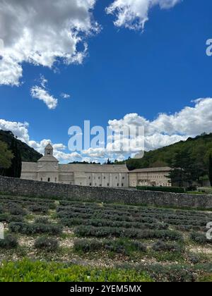 Abbaye Notre-Dame de Sénanque - Abbazia di Sénanque Foto Stock