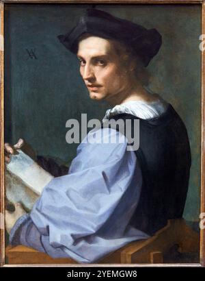 Ritratto di un giovane uomo, circa 1517-1518, Andrea del Sarto (1486-1530), The National Gallery, Londra, Regno Unito Foto Stock