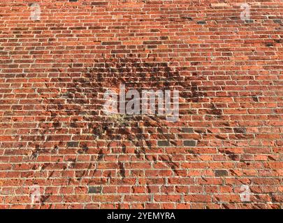 Tracce di guerra - schegge, proiettili sul muro dei mattoni rossi. Antico castello medievale a Malbork, Polonia Foto Stock