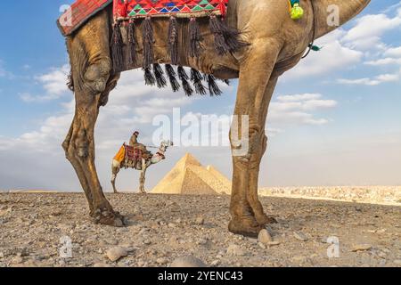 Giza Pyramid Complex, al Ahram, Giza, Egitto. 21 febbraio 2023. Uomo su un cammello di fronte alle piramidi di Menkaure, Khafre e Khufu, note anche come Foto Stock