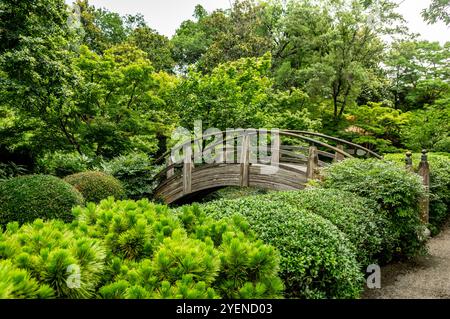 Arch Bridge, Giardino Giapponese, Fort Worth, Texas Foto Stock