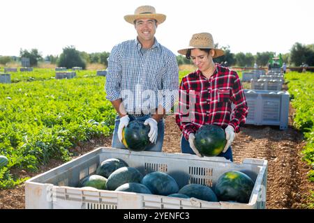 Ritratto di due contadini felici con anguria in mano nel campo dell'agricoltore durante la raccolta di angurie Foto Stock