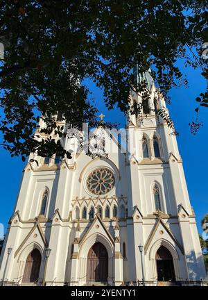 Cattedrale di San Giovanni Battista a Savannah, Georgia, Stati Uniti d'America Foto Stock