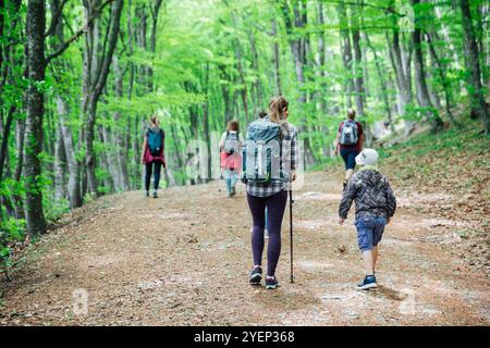 I turisti scalano la montagna lungo la strada forestale Foto Stock