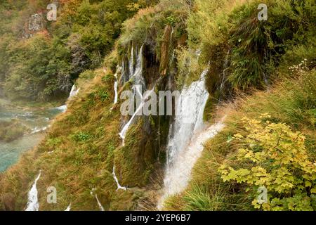 La scena autunnale cattura le incantevoli cascate del Parco Nazionale dei Laghi di Plitvice in Croazia, circondate dai vibranti colori della cascata. Foto Stock