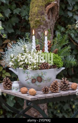 giardino d'inverno con candele, brughiera d'india bianca, cespuglio cuscino, ebe e coni in una zuppa tureen con ornamento invernale Foto Stock