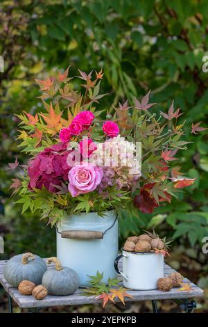 allestimento autunnale con un bouquet di rose rosa, fiori di ortensia e rami d'acero in una brocca di latte vintage e zucche Foto Stock