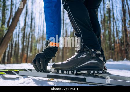 Lo sci di fondo fissa lo scarpone in una foresta innevata, preparandosi per l'esercizio all'aperto in un paese delle meraviglie invernali Foto Stock