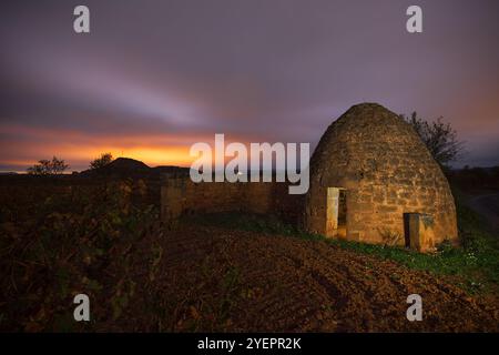 Vineyar in autunno a la Rioja, Spagna Foto Stock