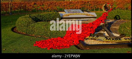 Il Poppy Cape o Garland drappeggiato dall'Anchor sopra la siepe e sull'erba al monumento alla guerra della Royal Marine War di Arbroath. Foto Stock