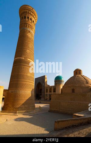 Visita il minareto di Kalyan, il luogo principale della Santa Bukhara. La Moschea della Madrasa araba Mir-i, che compone poi-Kalyan Ensemble, è la moschea centrale del santo Foto Stock