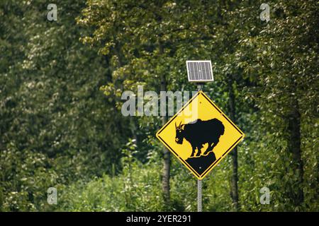 Capre di montagna segno di incrocio con un piccolo pannello solare, giallo di avvertimento strade segni di fuoco selettivo vista con gli alberi della foresta lo sfondo Foto Stock