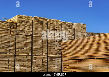 Pile di grandi dimensioni dei segati e trasformati di pannelli di legno sono visti in una segheria cantiere. Industria pesante nel Kootenays della British Columbia, Canada. Con spazio di copia Foto Stock