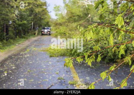 Vista selettiva su un'autostrada dopo una tempesta ventosa, i rami di alberi e i detriti sono disseminati sulla strada con un'auto sfocata che passa sullo sfondo Foto Stock