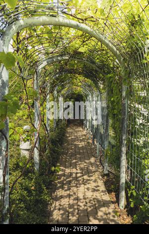 Giardino botanico sul tetto della biblioteca dell'Università di Varsavia, architettura moderna e verde. Architettura di costruzione sostenibile biofilia futuristica Foto Stock