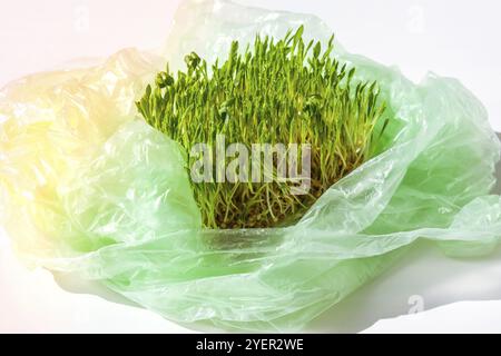 Giovani piante verdi in sacchetto di plastica. Concetto di ecologia e ambiente. Concetto di giorno di terra. Inquinamento globale del pianeta. Cucendo. Stile di vita sostenibile Foto Stock